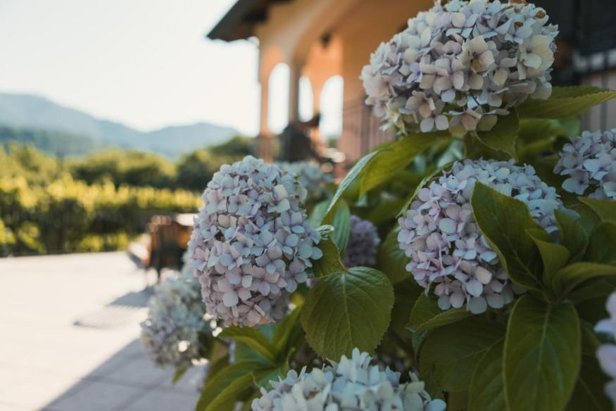 ترامونتي Il Frescale Country House المظهر الخارجي الصورة